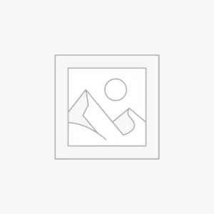 Succulent Glass Terrarium